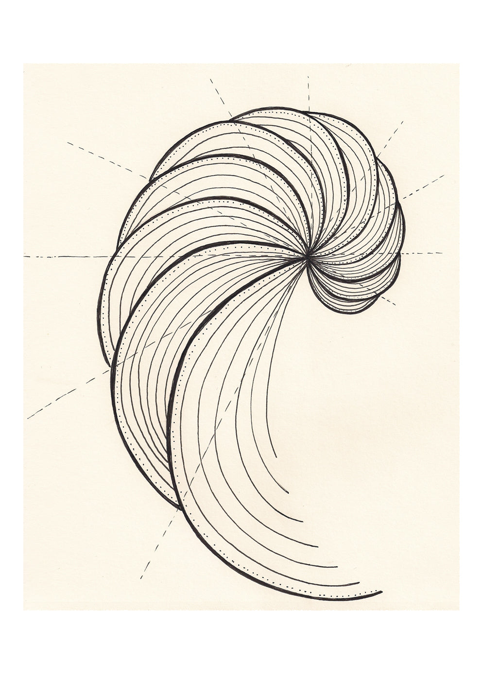 Espiral de Fibonacci - Lámina artística