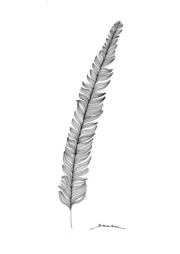 Plumas - Art print